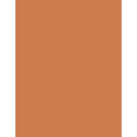 Rimmel London Wonder'Last Shadow Stick (1ml) (003 Copper Wink)
