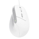 Trust Bayo II mouse Right-hand USB Type-A Optical 2400 DPI