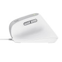 Trust Bayo II mouse Right-hand USB Type-A Optical 2400 DPI