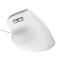 Trust Bayo II mouse Right-hand USB Type-A Optical 2400 DPI
