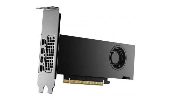 PNY NVIDIA 2000 ADA 16GB MADALPROFIIL, PCIE 4.0 X16, KAHEKORDNE PESA, 4X MINI DP 1.4A, 16 GB GDDR6 E