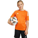 Adidas Campeon 23 Jersey Jr IC1243 (140cm)