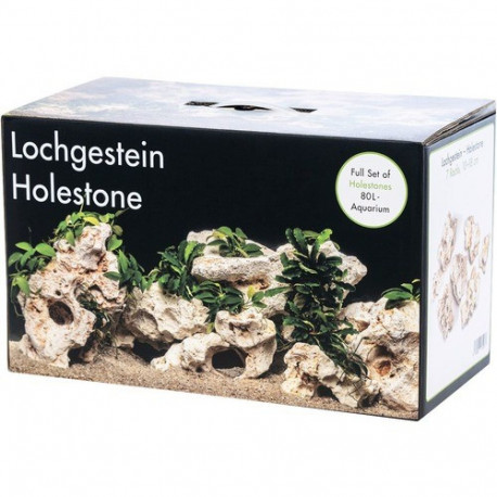 Akvaariumi dekoor Mitme auguga kivi 80L