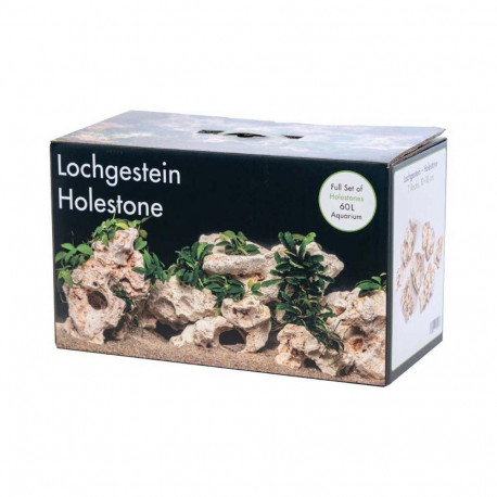 Akvaariumi dekoor Mitme auguga kivi 60L