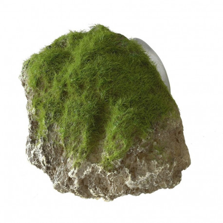 Aquarium decoration, moss stone with suction cup 12x9,5x10,5cm