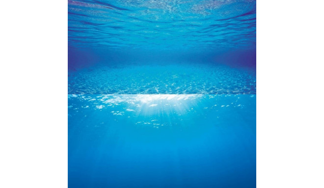 Akvaariumi taust Poster 2 S 60x30cm