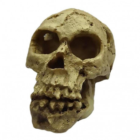 Aquarium decoration, skull 10,5x7x7,5cm