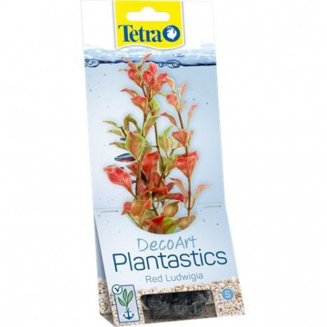 Plastist taim Tetra Red Ludwigia,L