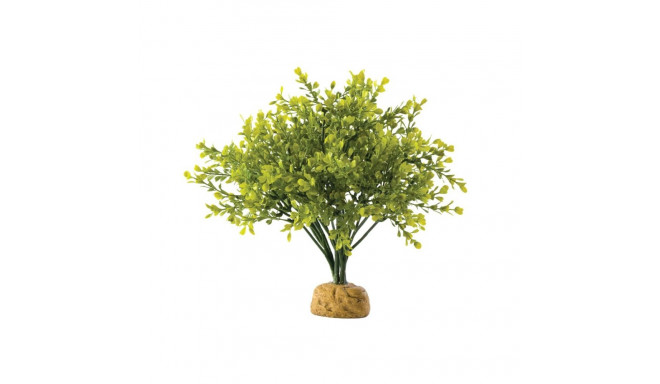 Terrarium decoration, boxwood bush, EXO-TERRA