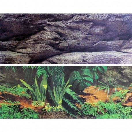 Akvaariumitaim kividele 15x30cm