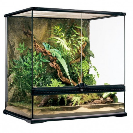 Stiklinis terariumas Exo-Terra Natural Terrarium 60 x 45 x 60 cm Vidutinis (PT2612)
