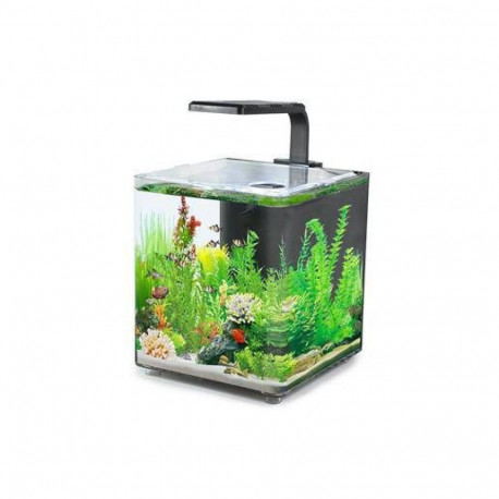 Akvaarium AQUACLEAR DESKTOP TANK AC10 9,4L 243x203x233mm