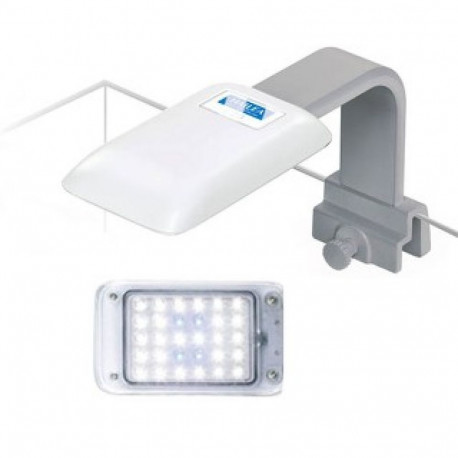 LED lamp I-40 3.5W white