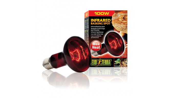 Terariumo lempa Infrared Basking Spot R25 100w PT2144