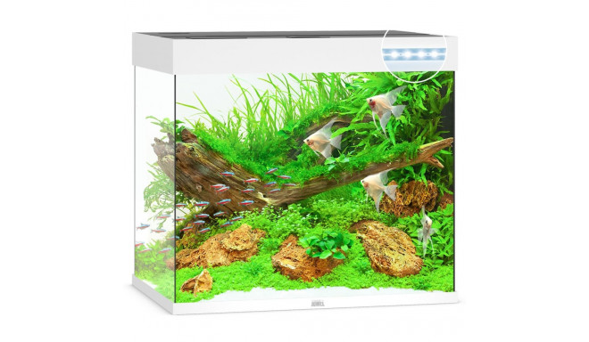 Akvariumas Lido LED 200 L baltas