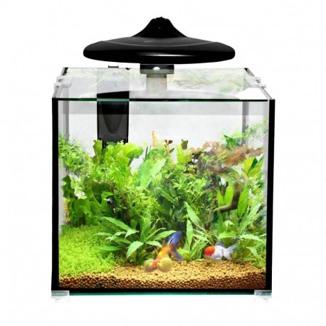 Akvariumas CLEAR CUBE CC30 KIT 32L 350x320x318mm