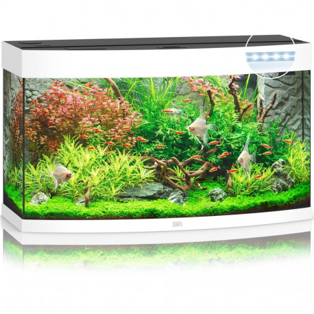 Aquarium Vision LED 180 L baltas