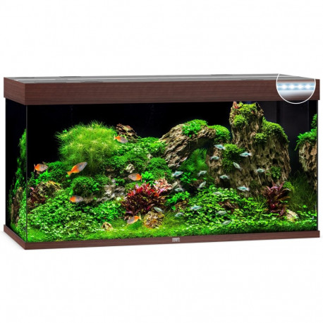 Aquarium Rio LED 350 L dark wood