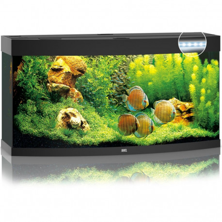 Akvaarium Vision LED 260 L must