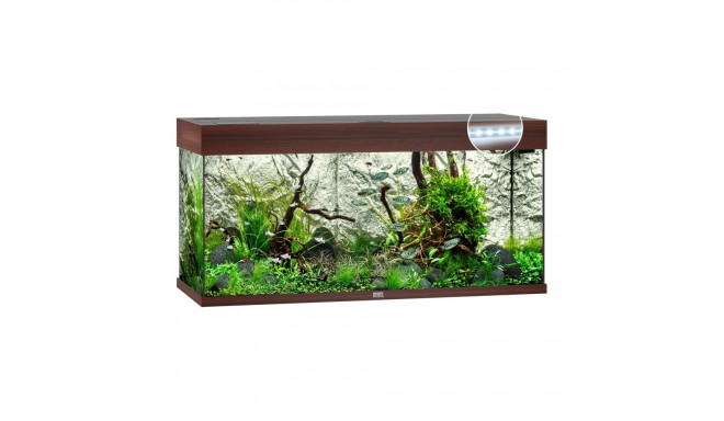 Aquarium Rio LED 180 L tamsios medienos