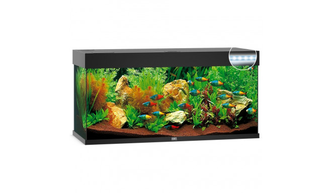 Akvaarium Rio LED 240 L must
