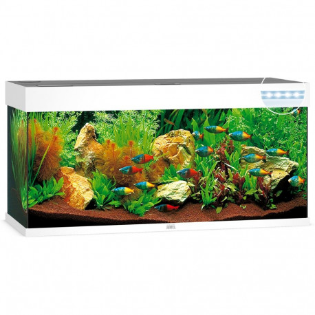 Aquarium Rio LED 240 L baltas