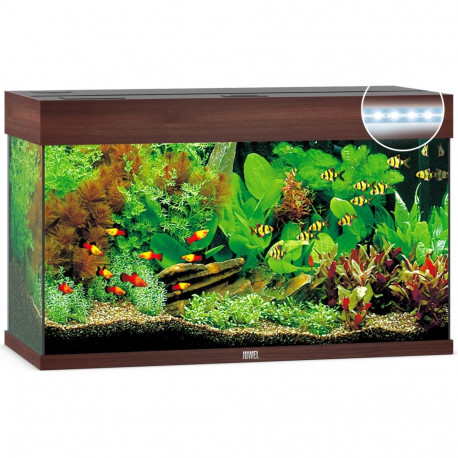 Aquarium Rio LED 125 L tamsios medienos