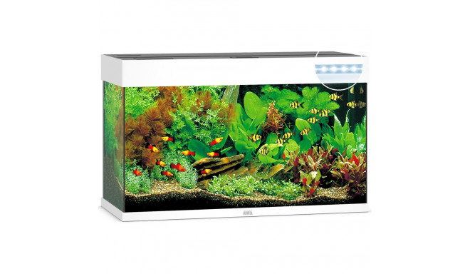 Aquarium Rio LED 125 L white