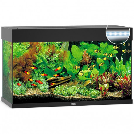Akvaarium Rio LED 125 L must
