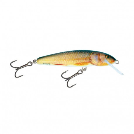 Lure Minnow 9S 9cm/12g/1.5-2.5m RR