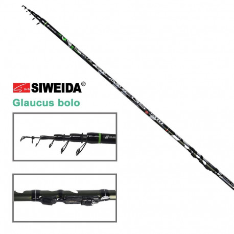 Fishing rod SWD Sports Glaucus bolo 6m up to 30g