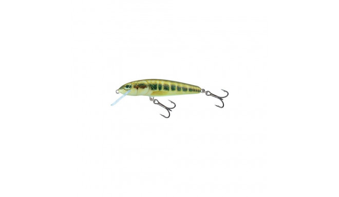 Vobler Minnow 5F 5cm/3g/0.5-1.0m MIN