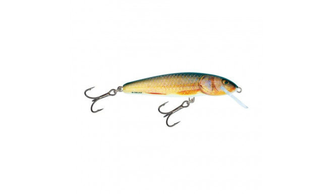 Lure Minnow 7F 7cm/6g/1.0-1.5m RR