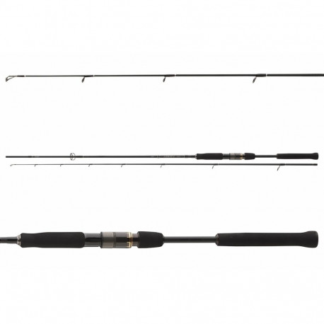 Spinning rod Daiwa Airity Jigger 2.40m 8-35g