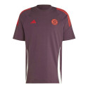 Adidas Bayern Munich M IS9950 T-shirt (M (178cm))