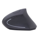 Gembird | MUSW-ERGO-01 | 2.4GHz Wireless Optical Mouse | Optical Mouse | USB | Black