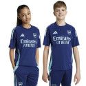 Adidas Arsenal London TR JSY Jr T-shirt IT2203 (164 cm)