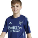 Adidas Arsenal London TR JSY Jr T-shirt IT2203 (164 cm)