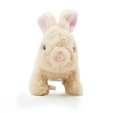 PUGS AT PLAY Cookie Jumping Rabbit