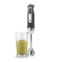 Blender set G21 VitalStick 1000 W black 600862