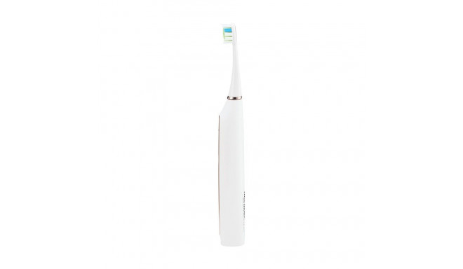 Electric toothbrush Polaris PETB 0101 TC