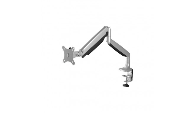 Raidsonic kuni 32" IB-MS503-T hõbedane/must