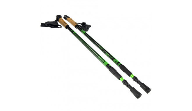 Kijki Nordic Walking Scout Bjorn zielone 3cz