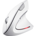 Trust Verto Ergo mouse white (25132)