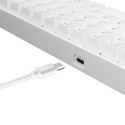 White Shark klaviatuur Shinobi GK-2022 US, valge