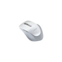 Asus | WT425 | Wireless Optical Mouse | wireless | Pearl, White