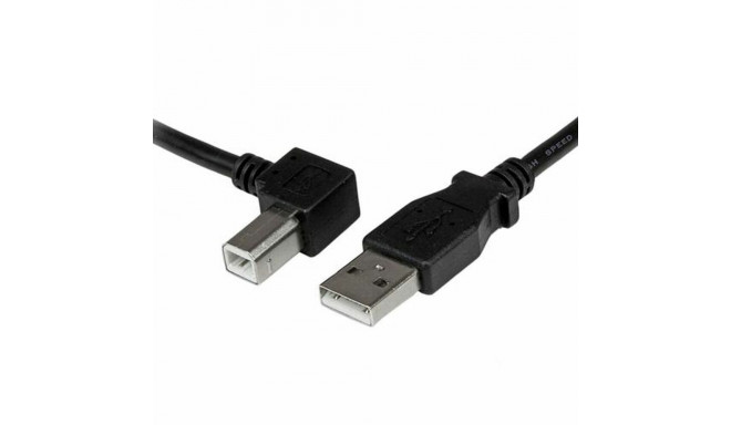 USB A to USB B Cable Startech USBAB1ML             Black