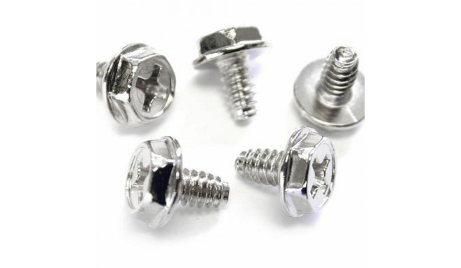 Kruvide komplekt Startech SCREW6_32