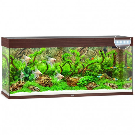 Aquarium Rio LED 240 L tamsaus medžio
