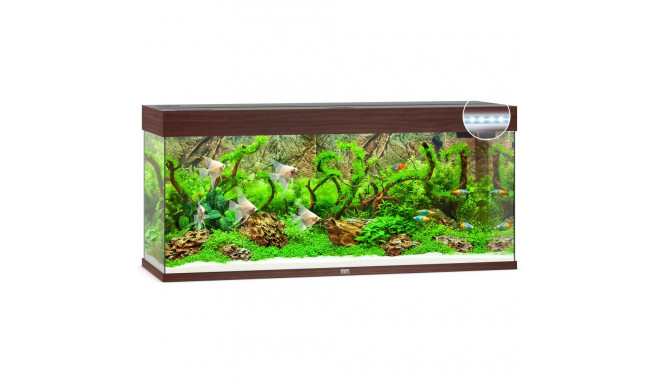 Akvaarium Rio LED 240 L tume puit